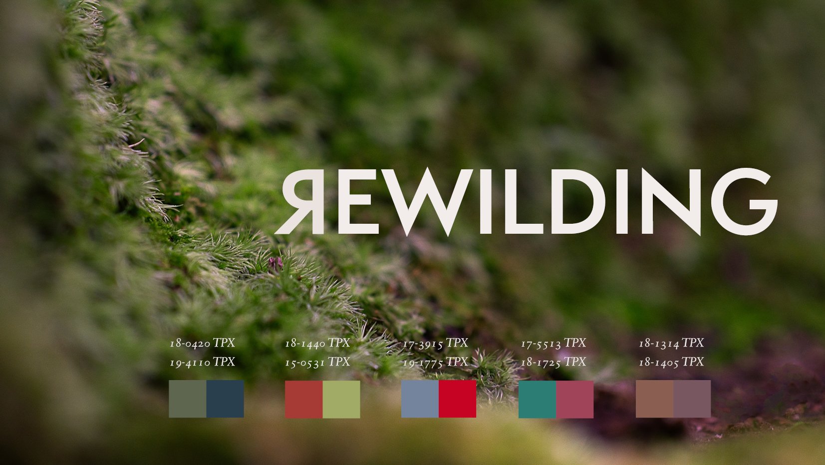 rewilding 2022 trends report cover